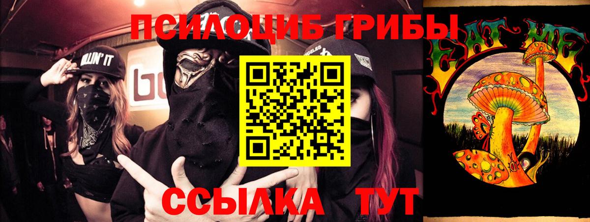 Галлюциногенные грибы Cubensis Кудрово